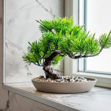 The Urban Pulse Stylish Flat *