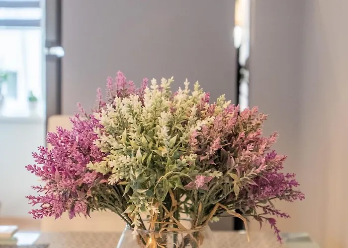 The Urban Pulse Stylish Flat صوفيا