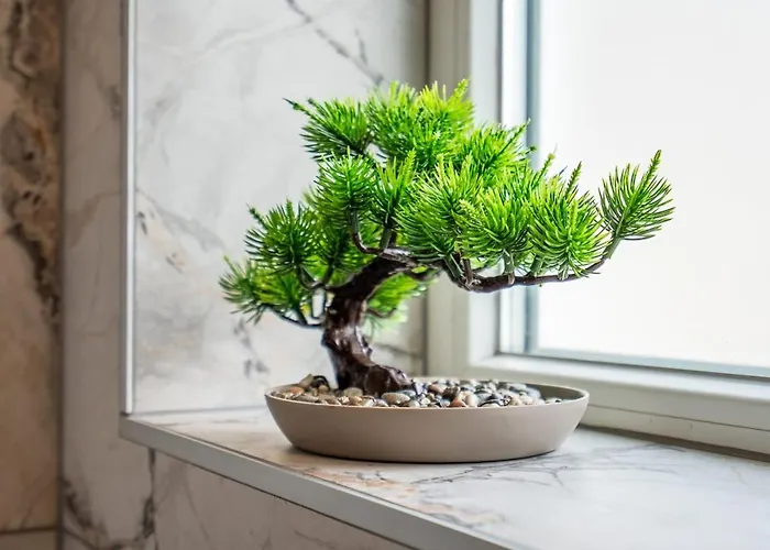 The Urban Pulse Stylish Flat *