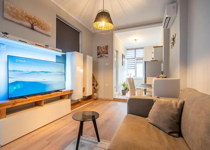 The Urban Pulse Stylish Flat