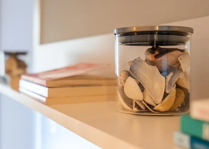 The Urban Pulse Stylish Flat